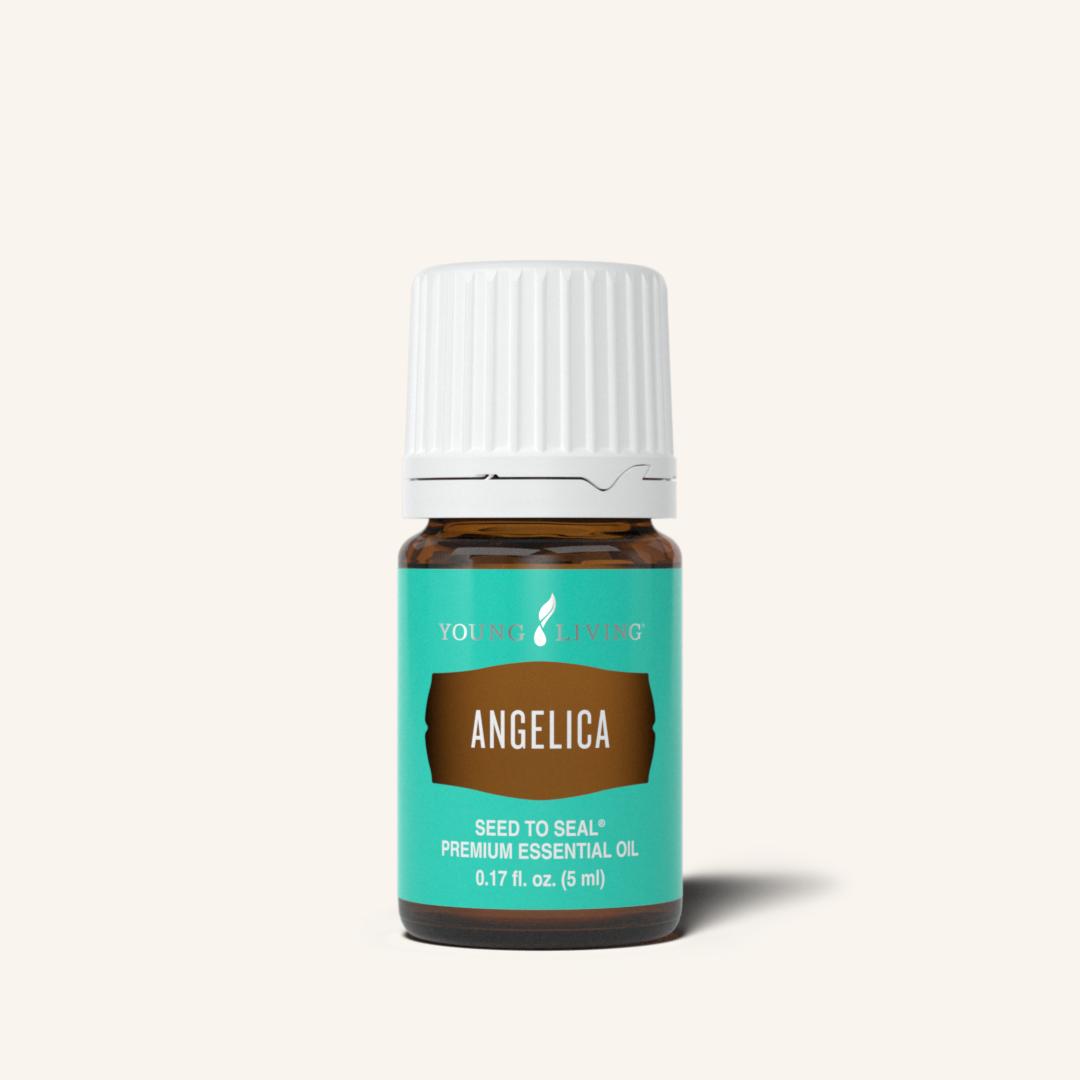 Angelica Essential Oil