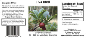 Uva Ursi